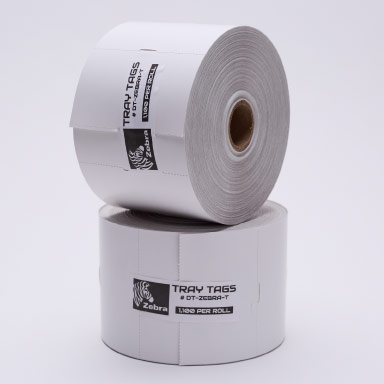 DT-Zebra-T